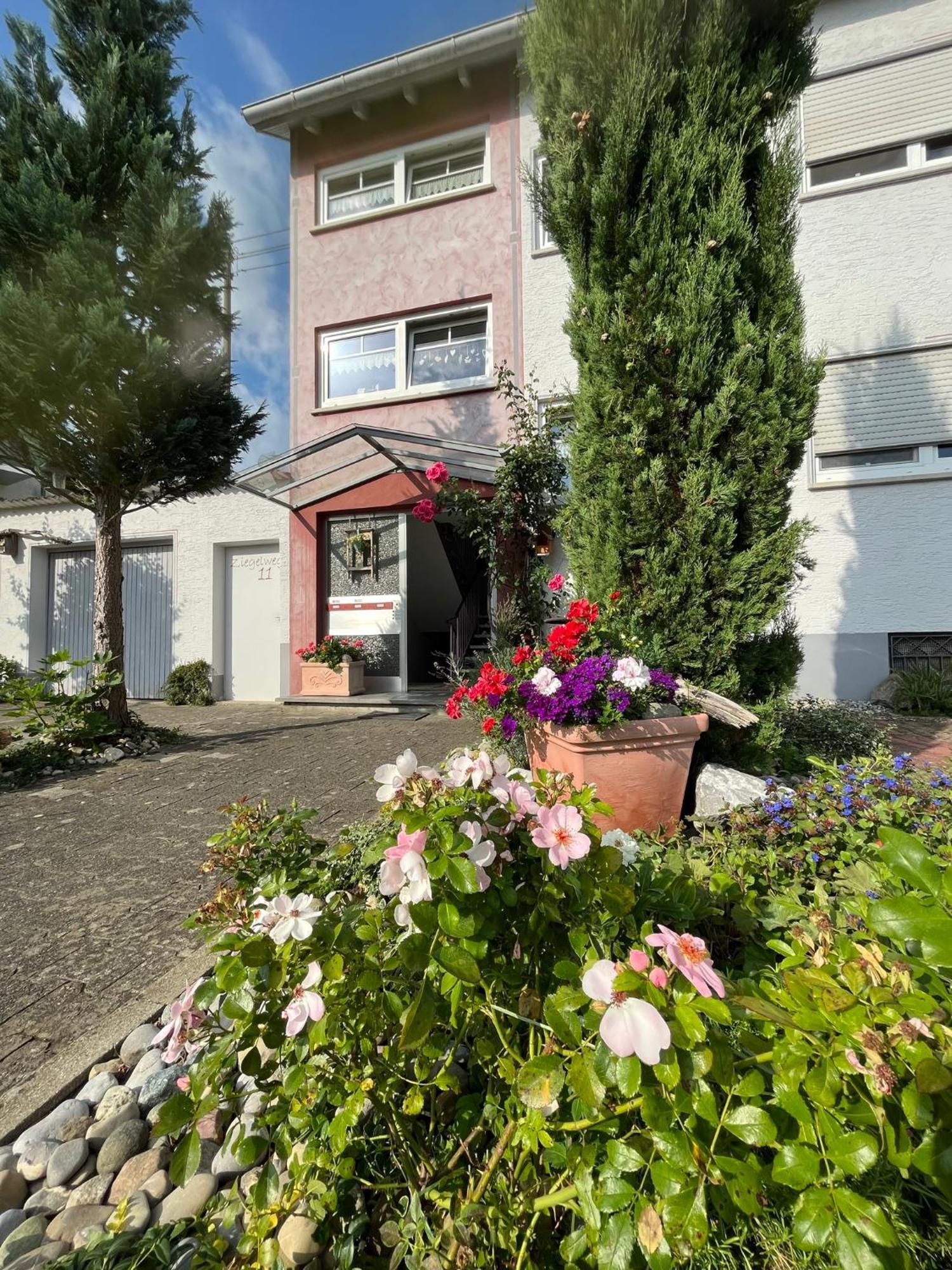 Schoene Wohnung, Bodenseenaehe *